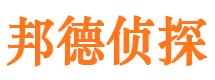 镇平市调查公司